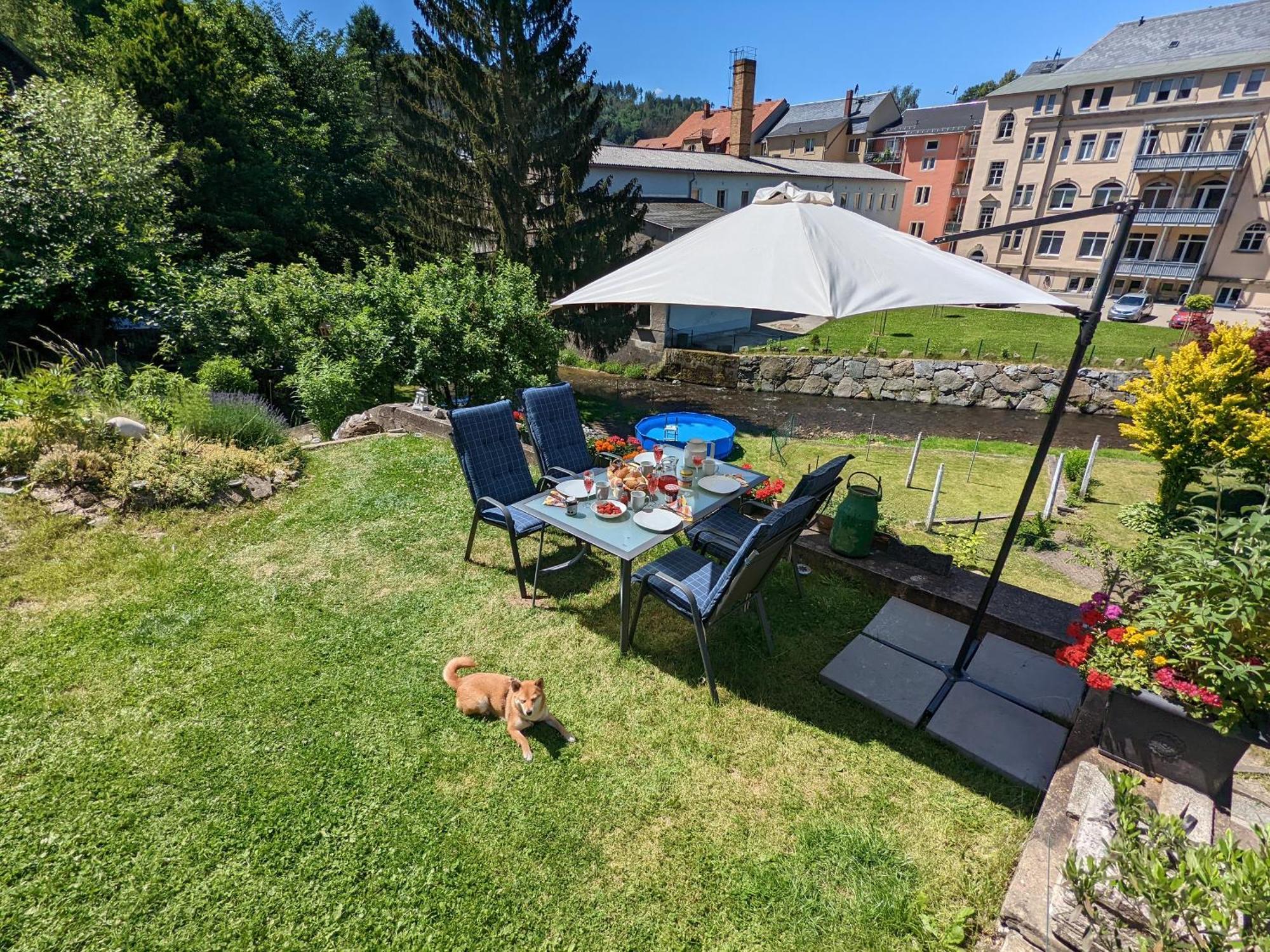 Zi1 - Urlaubsmagie - Erholung Mit Whirlpool & Sauna Sebnitz Exteriör bild