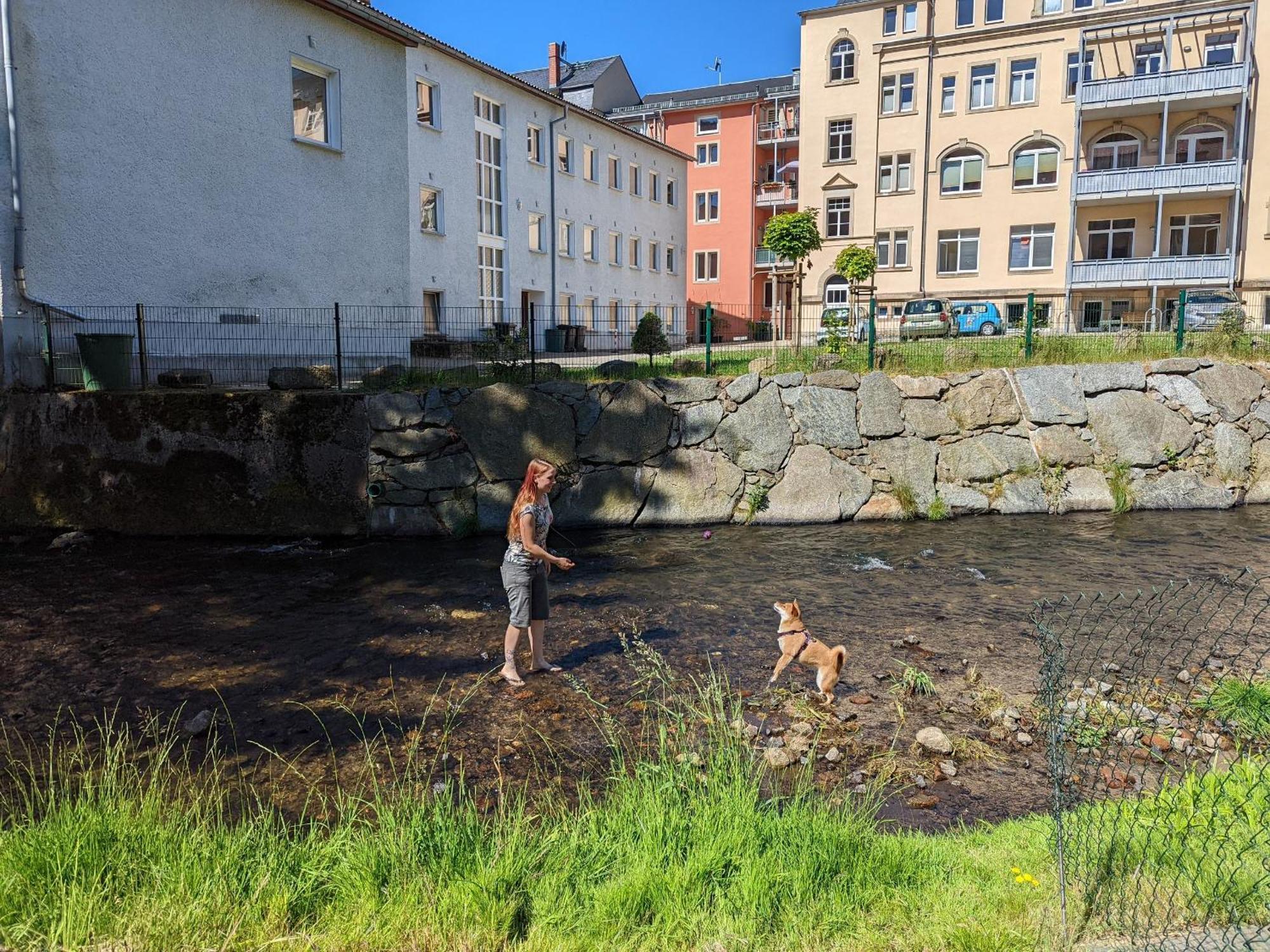 Zi1 - Urlaubsmagie - Erholung Mit Whirlpool & Sauna Sebnitz Exteriör bild