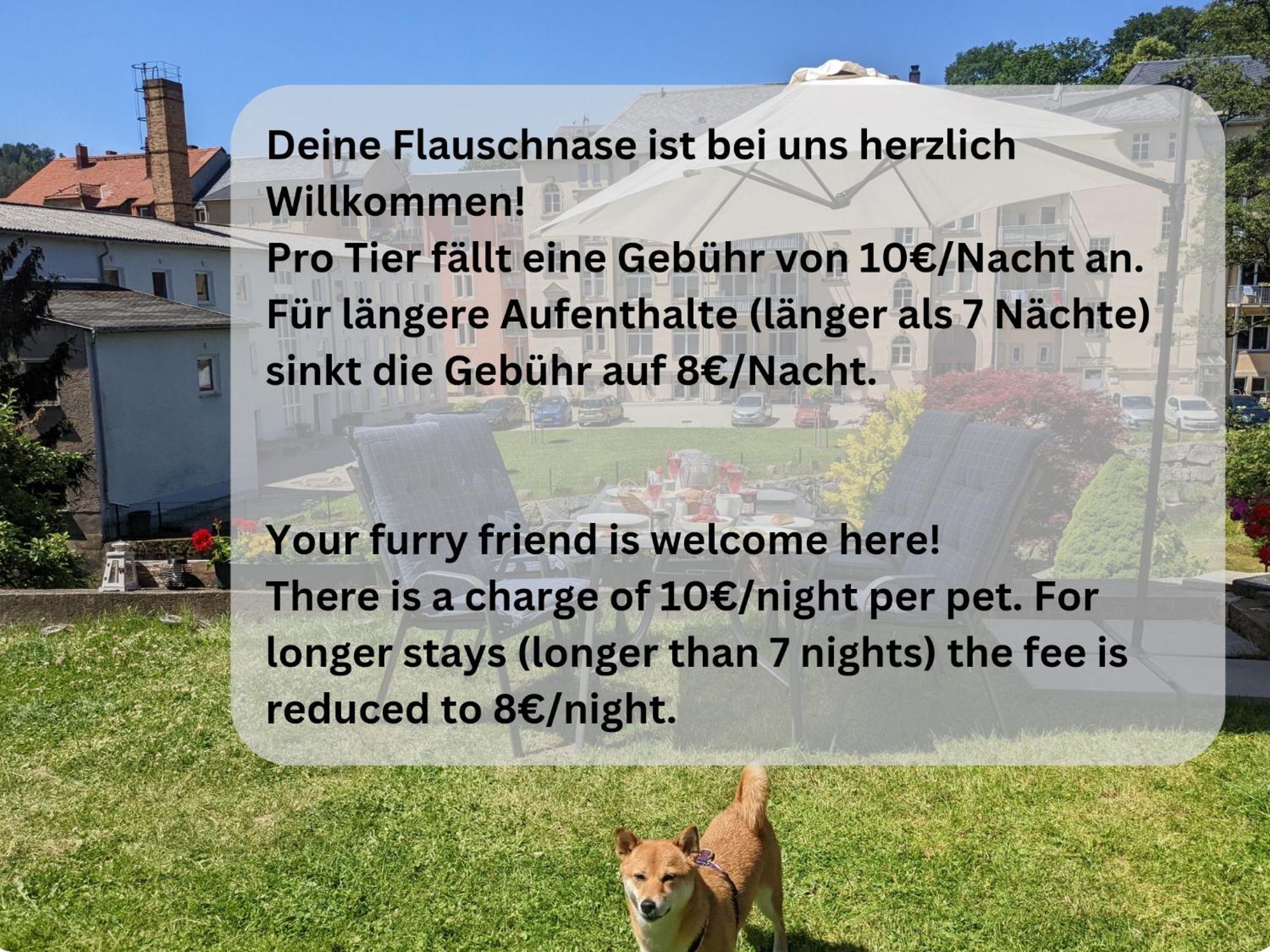 Zi1 - Urlaubsmagie - Erholung Mit Whirlpool & Sauna Sebnitz Exteriör bild